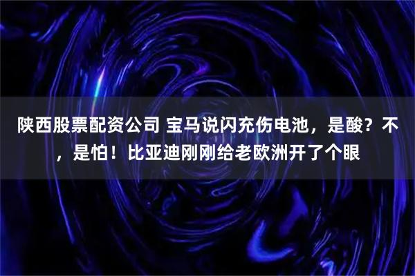 陕西股票配资公司 宝马说闪充伤电池,是酸?不,是怕!比亚迪刚刚给老欧洲开了个眼